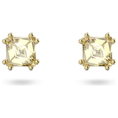 Front view of Swarovski Chroma Women's Earrings 5639124