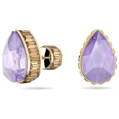 Front view of Swarovski Orbita Women's Earrings 5641405
