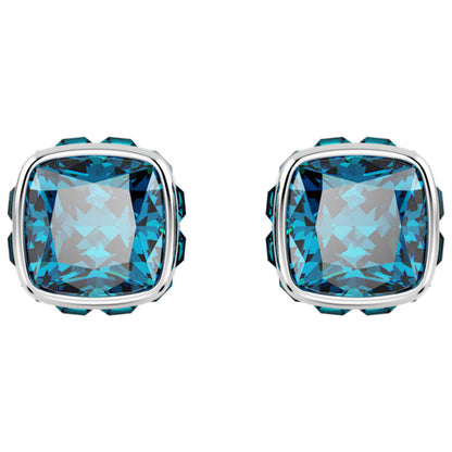 Front view of Swarovski Birthstone: December Women's Earrings 5660796