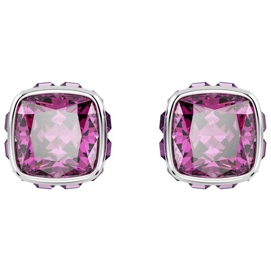 Front view of Swarovski Birthstone: February Women's Earrings 5660797
