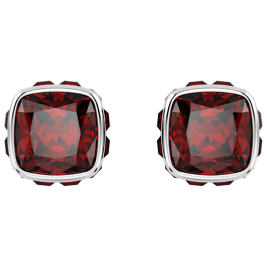 Front view of Swarovski Birthstone: January Women's Earrings 5660798