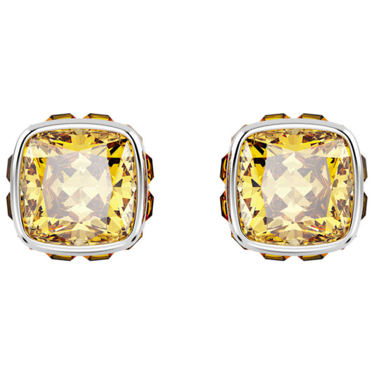 Front view of Swarovski Birthstone: November Women's Earrings 5660802