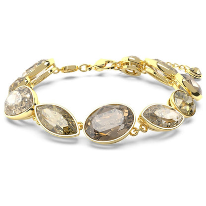 Front view of Swarovski Elegance of Africa Women's Bracelet 5664794
