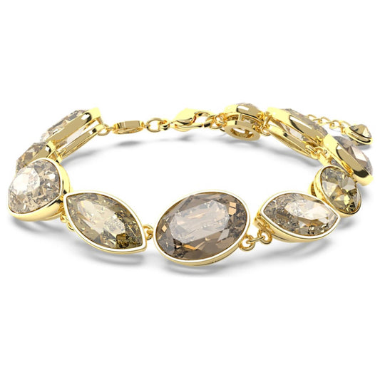 Front view of Swarovski Elegance of Africa Women's Bracelet 5664794