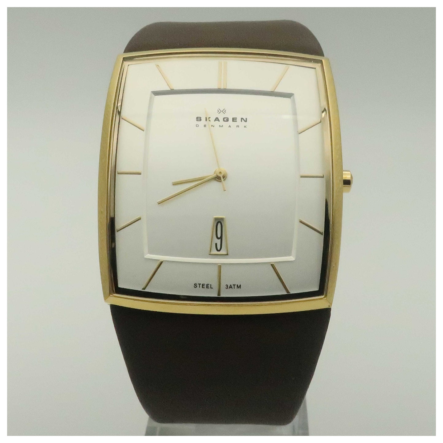 Front view of Skagen Classic Men's Quartz Watch 567LGLD1-PO