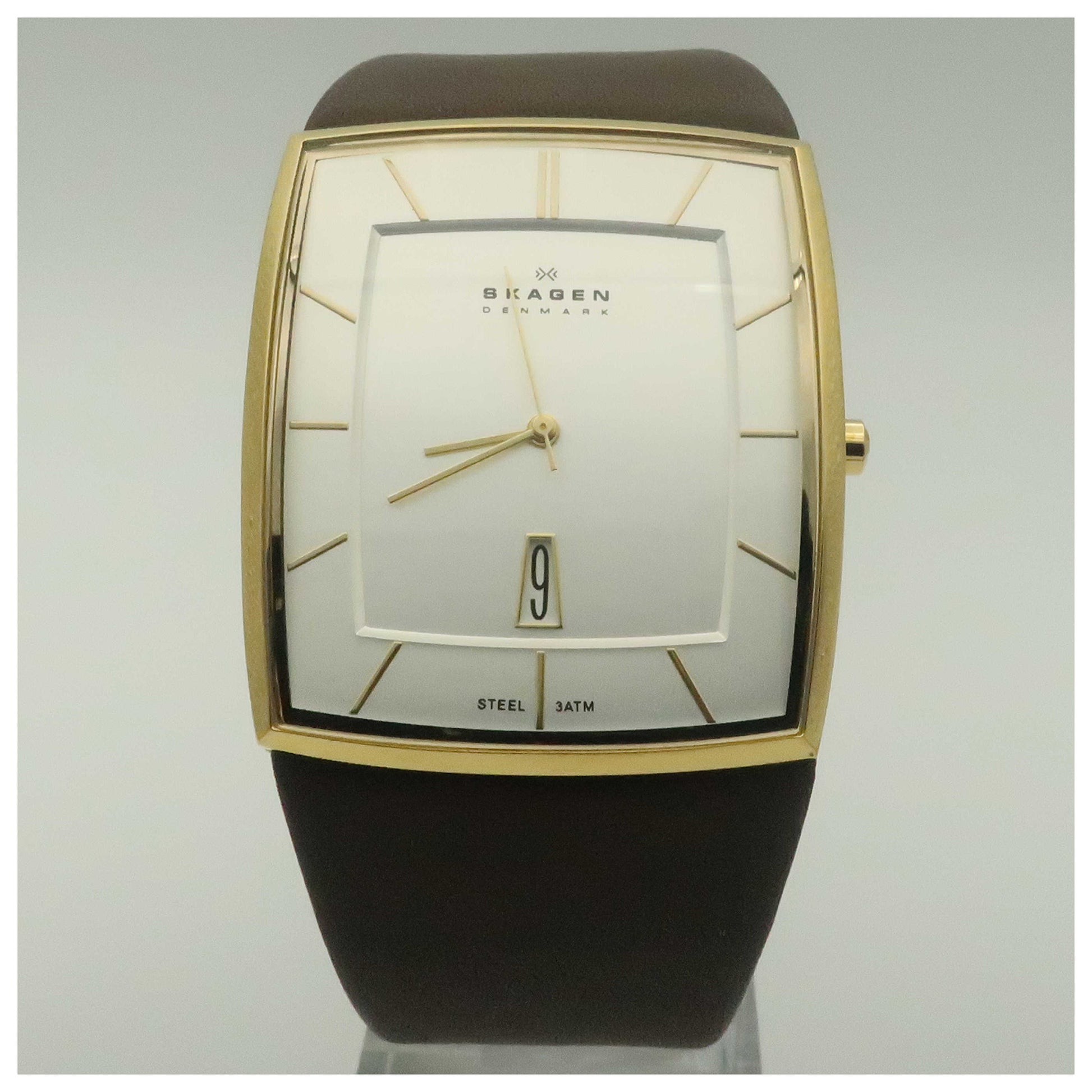 Front view of Skagen Classic Men's Quartz Watch 567LGLD1-PO