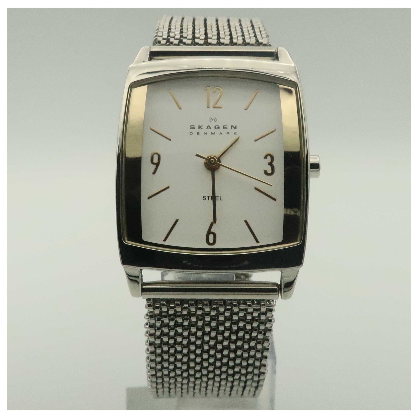 Front view of Skagen Mesh Women's Japanese Quartz (Battery-Powered) Watch 691SGS1-PO