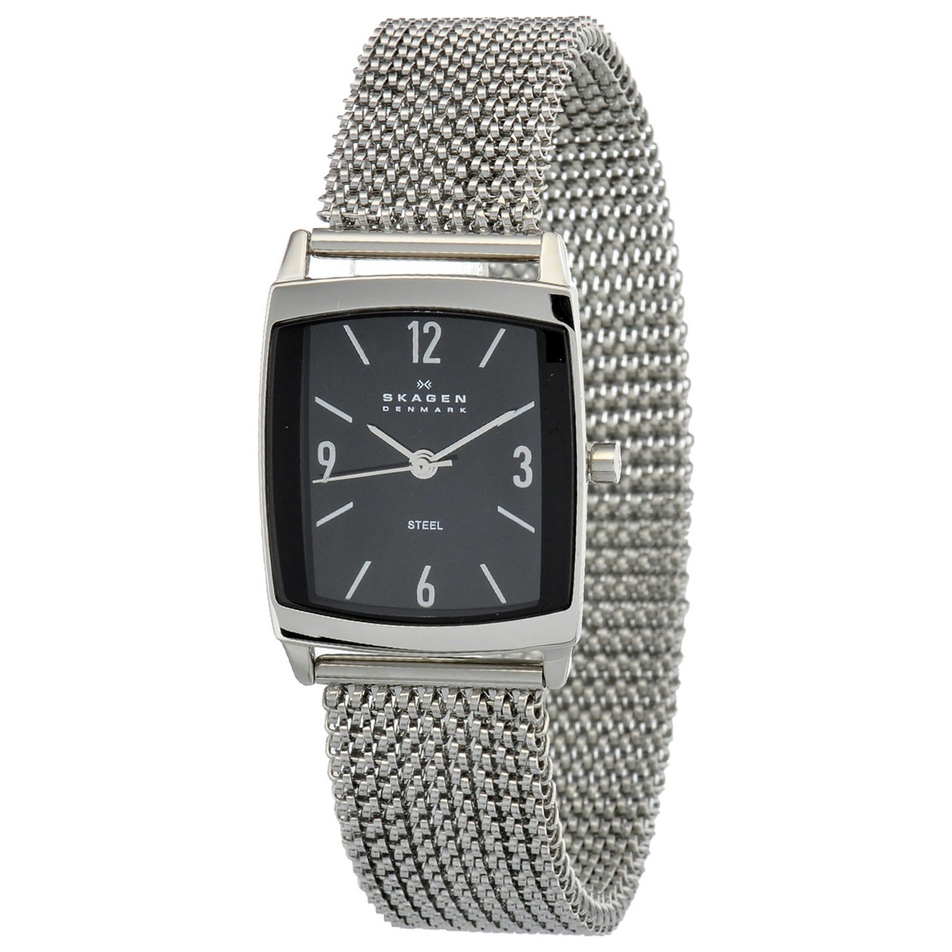 Front view of Skagen Mesh Women's Japanese Quartz (Battery-Powered) Watch 691SSSB1