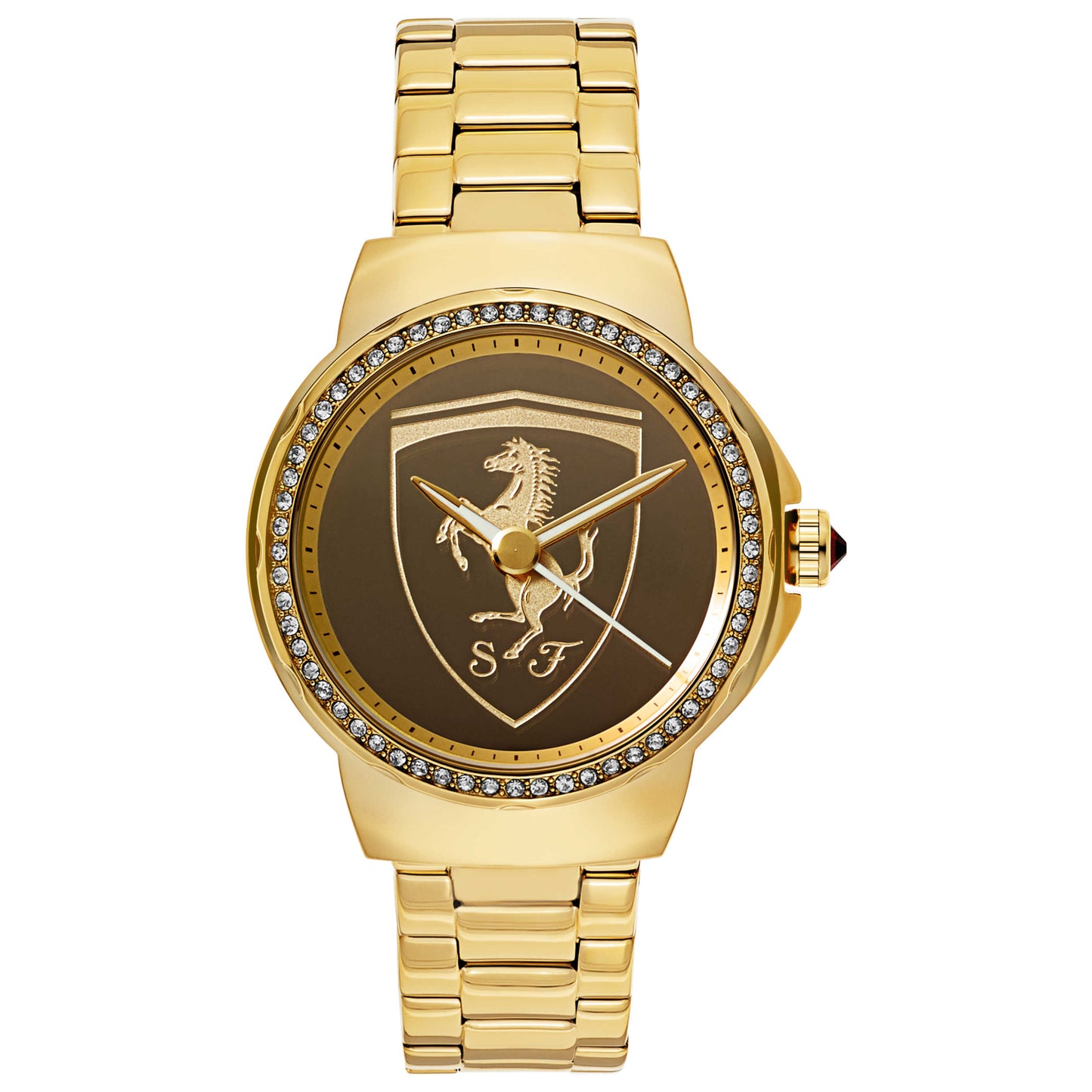 Front view of Ferrari Donna Women's Japanese Quartz (Battery-Powered) Watch 820012