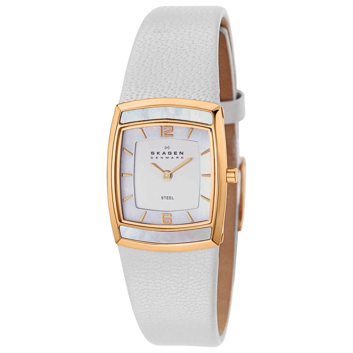 Front view of Skagen Leather Women's Japanese Quartz (Battery-Powered) Watch 855SRLW1