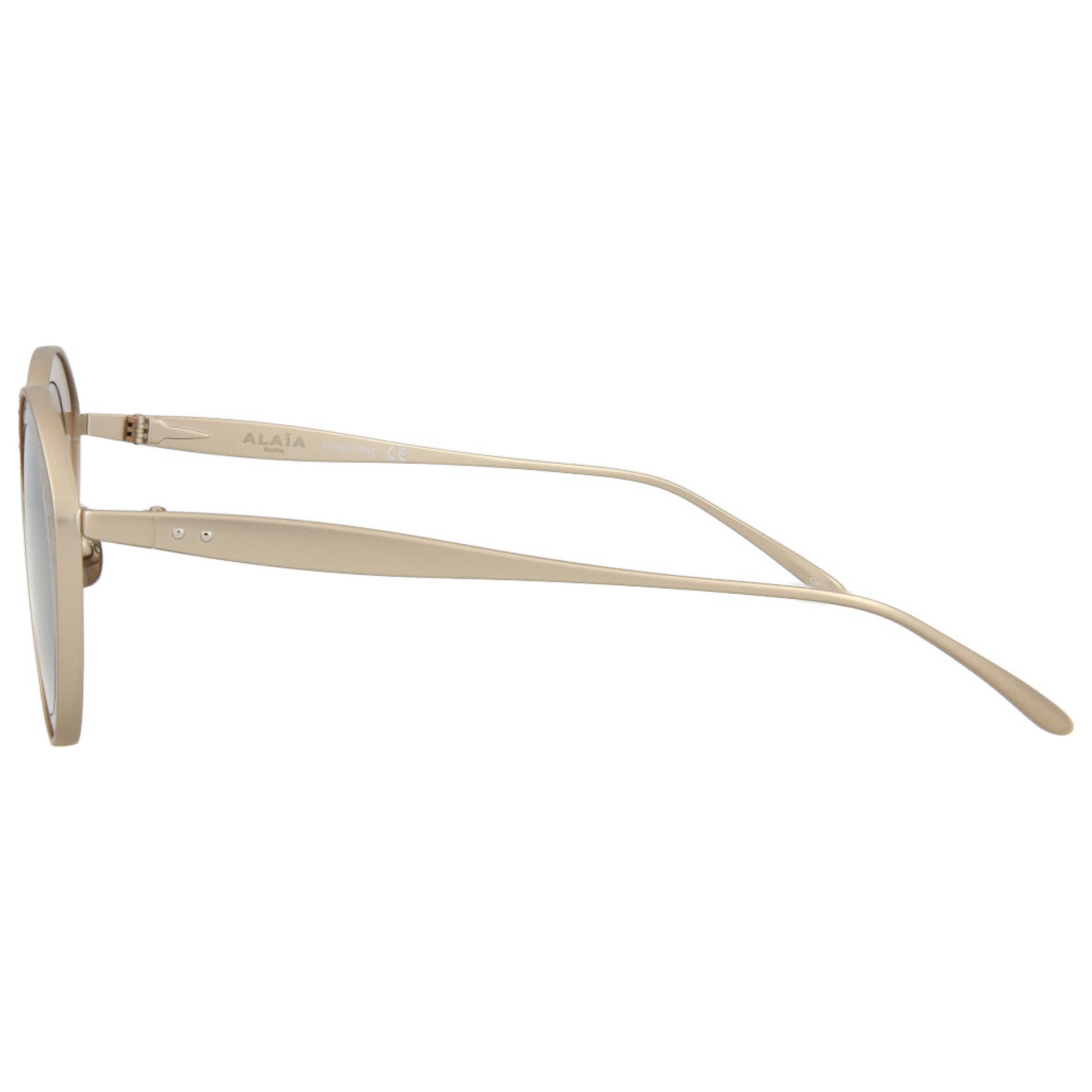 Alaia Novelty Women's Sunglasses AA0020S-30007252-002 - Image #4