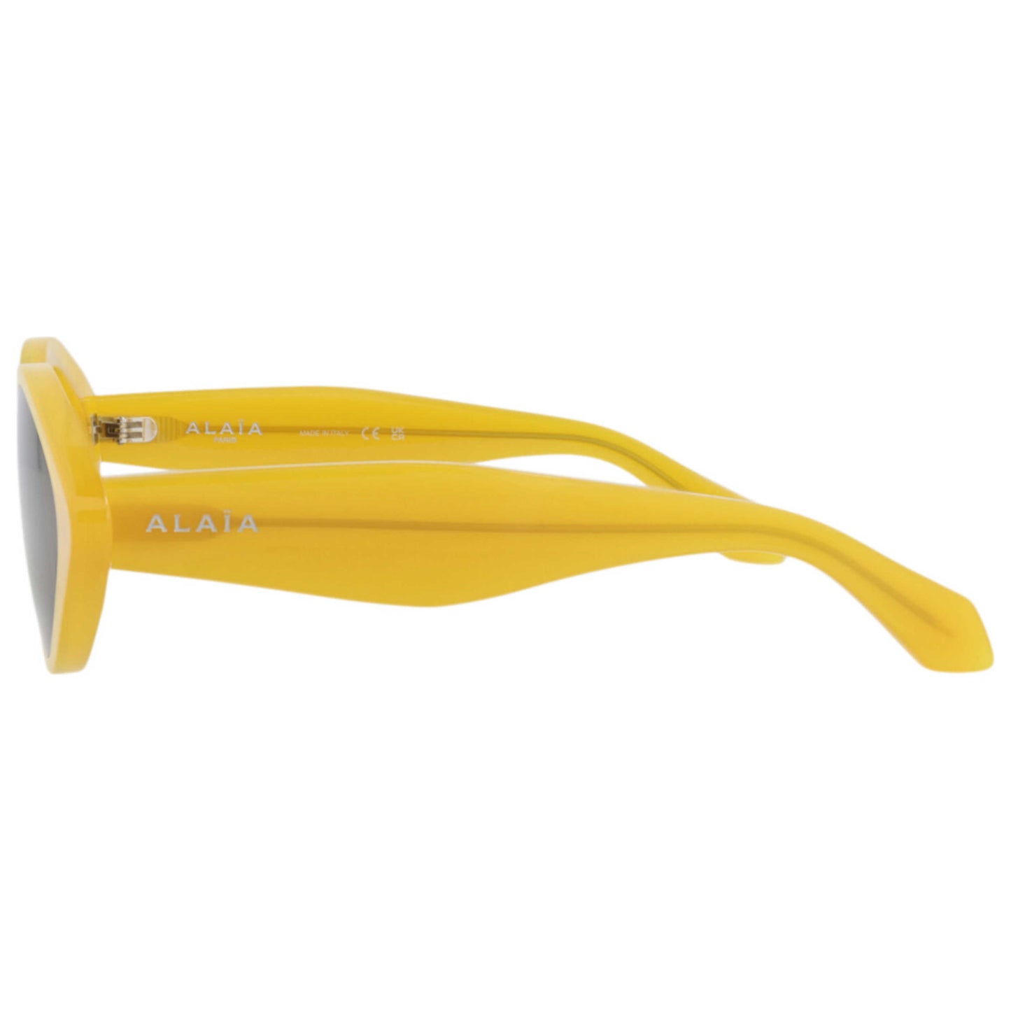 Alaia Women's Sunglasses AA0069S-30014222-003 - Image #3