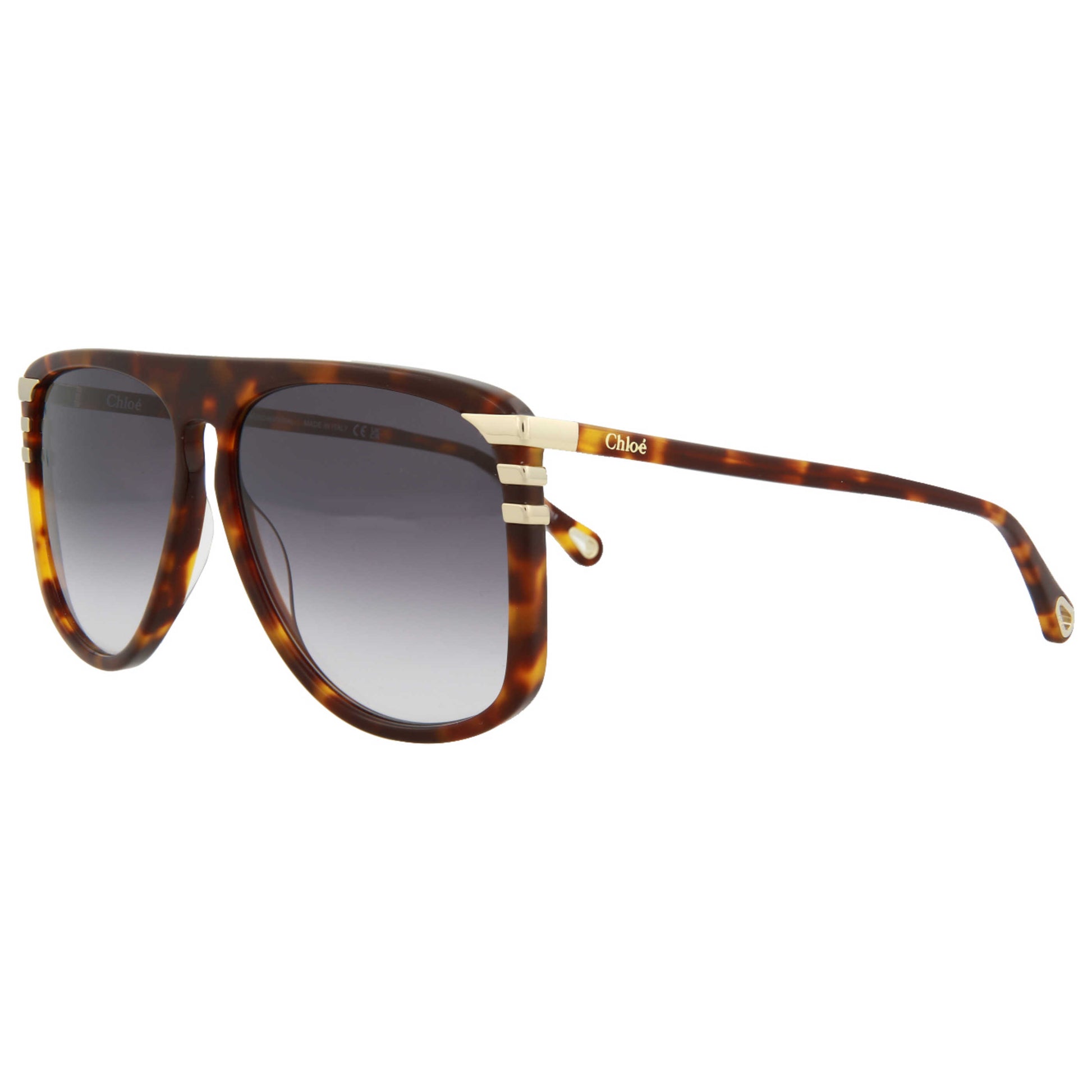 Front view of Chloe Fashion Women's Sunglasses CH0104S-30012755-004