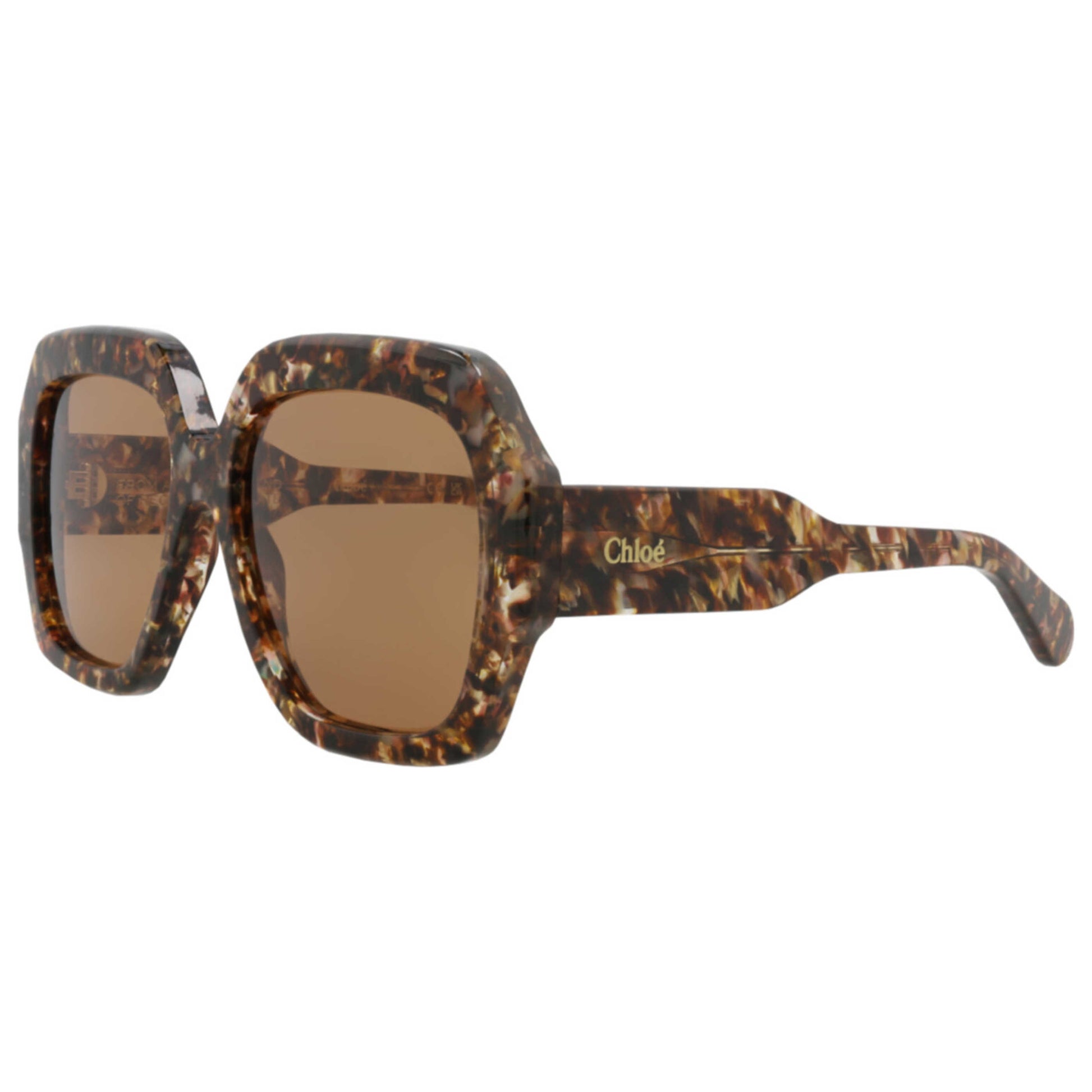 Front view of Chloe Women's Sunglasses CH0154S-30014079-009