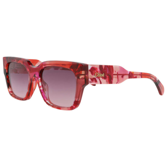 Front view of Chloe Women's Sunglasses CH0190S-30014666-012