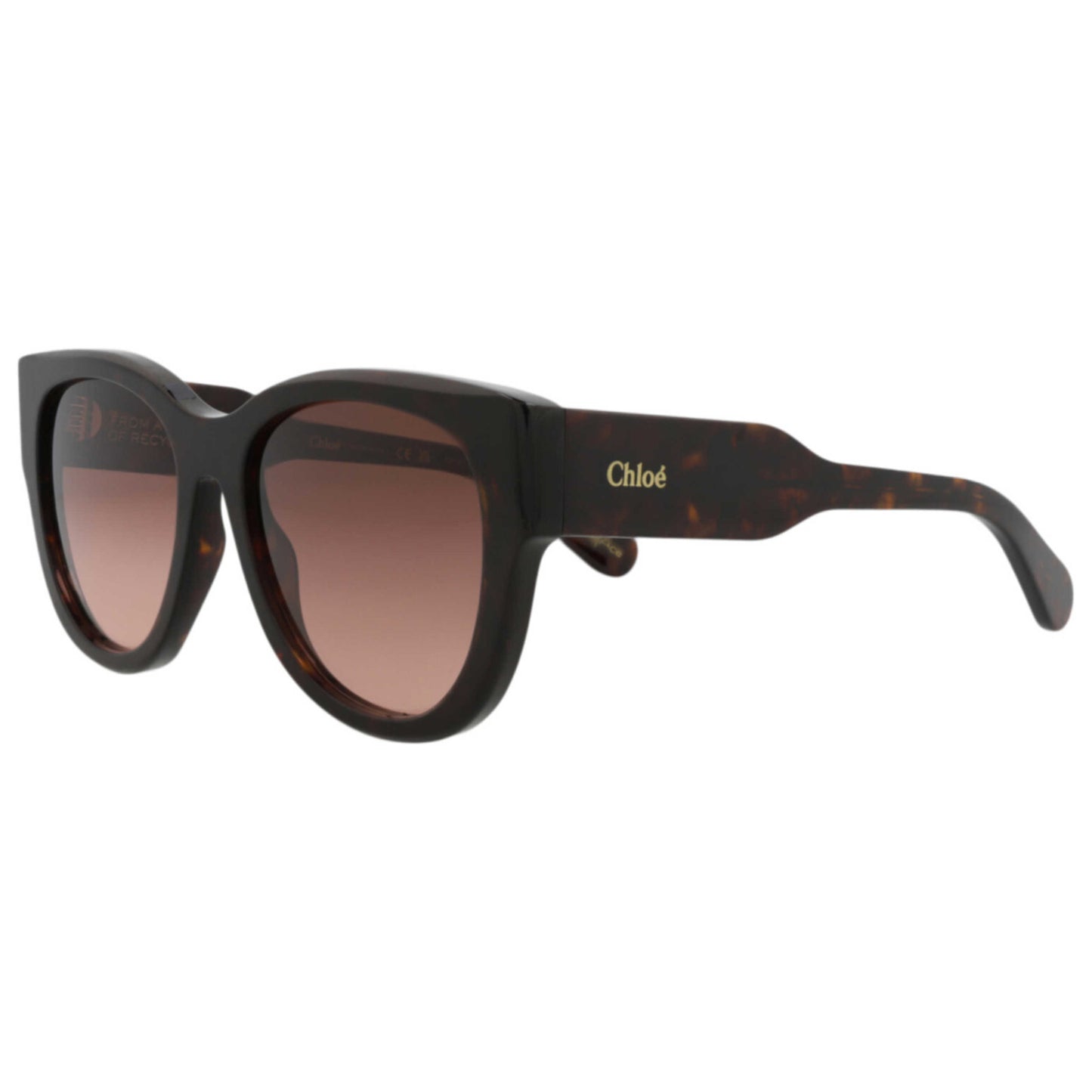 Front view of Chloe Women's Sunglasses CH0192S-30014665-002