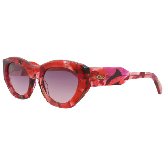 Front view of Chloe Women's Sunglasses CH0220S-30015146-012