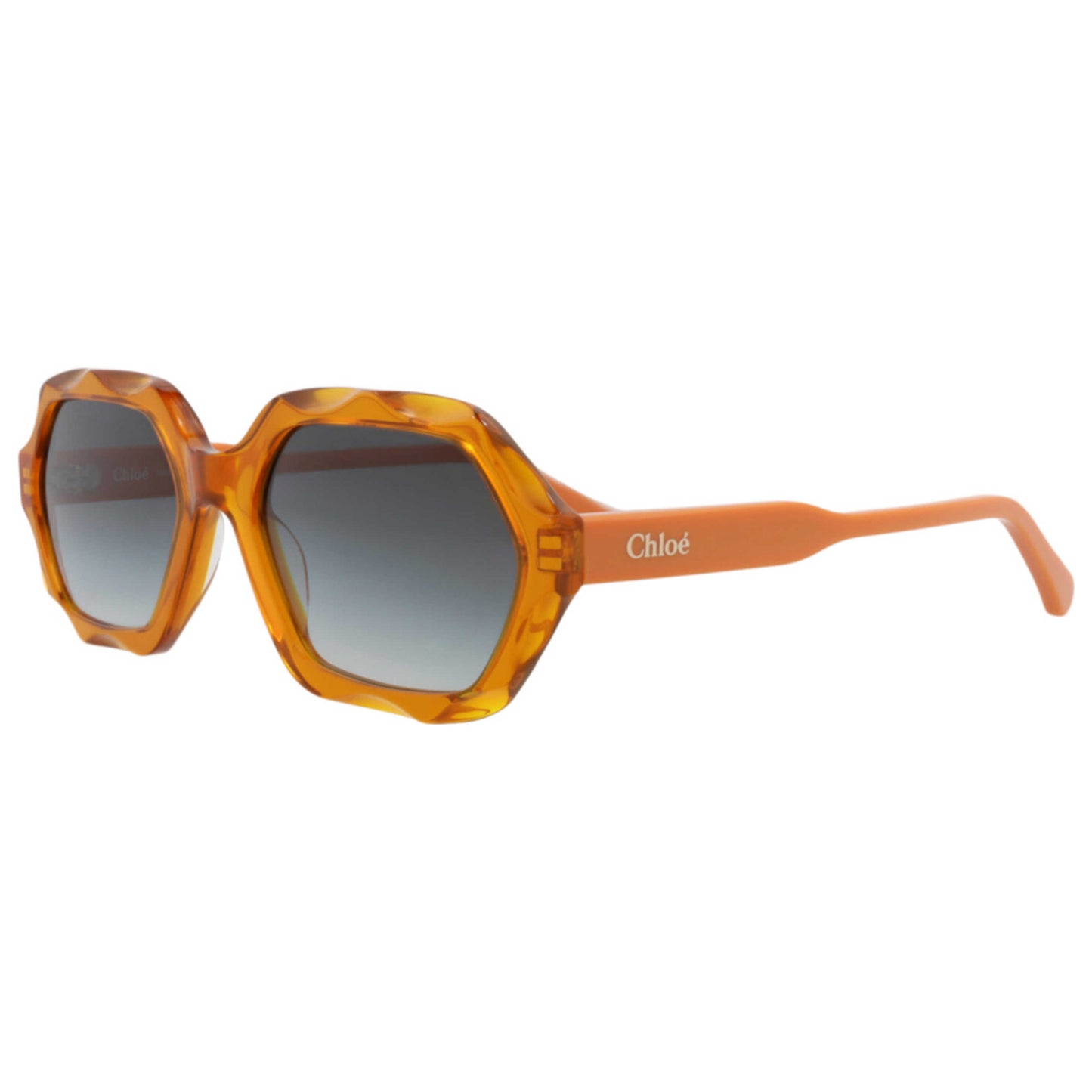 Front view of Chloe Women's Sunglasses CH0227S-30015142-004