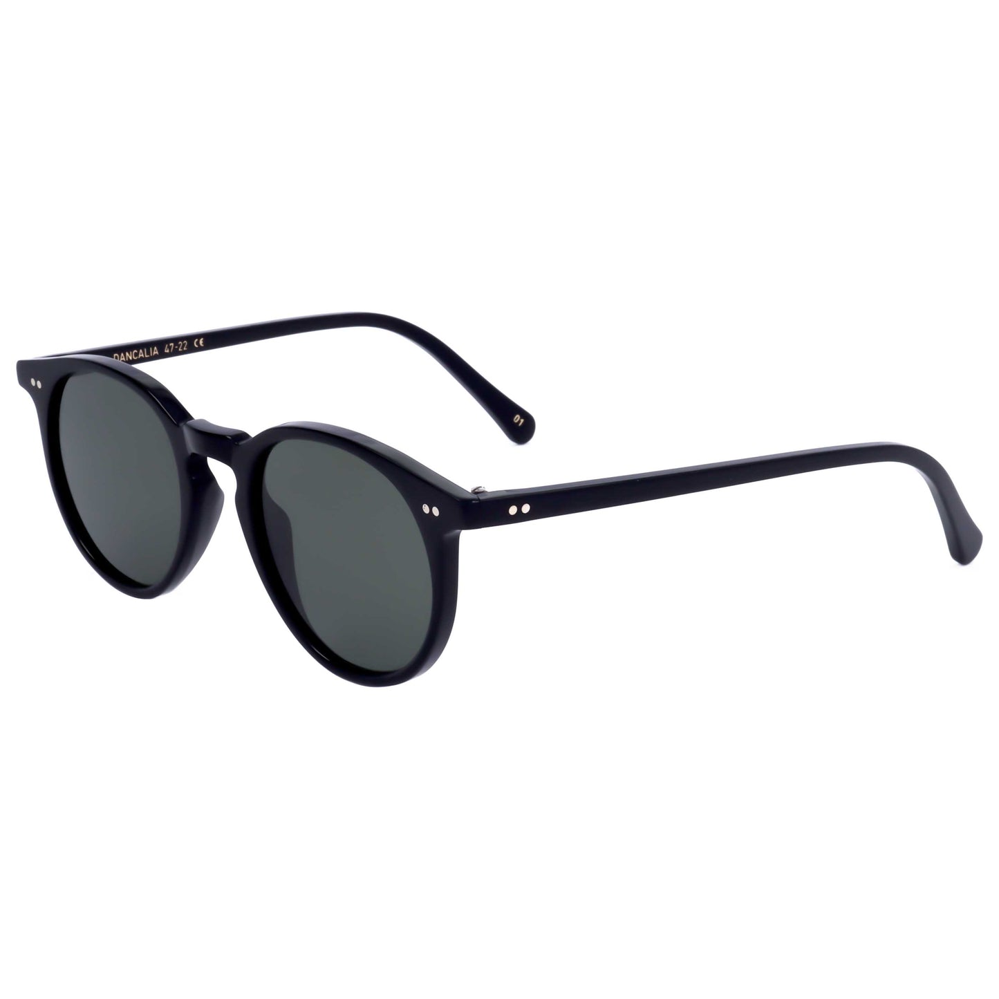 Front view of L.G.R. Unisex Sunglasses DANCALIA-1-47