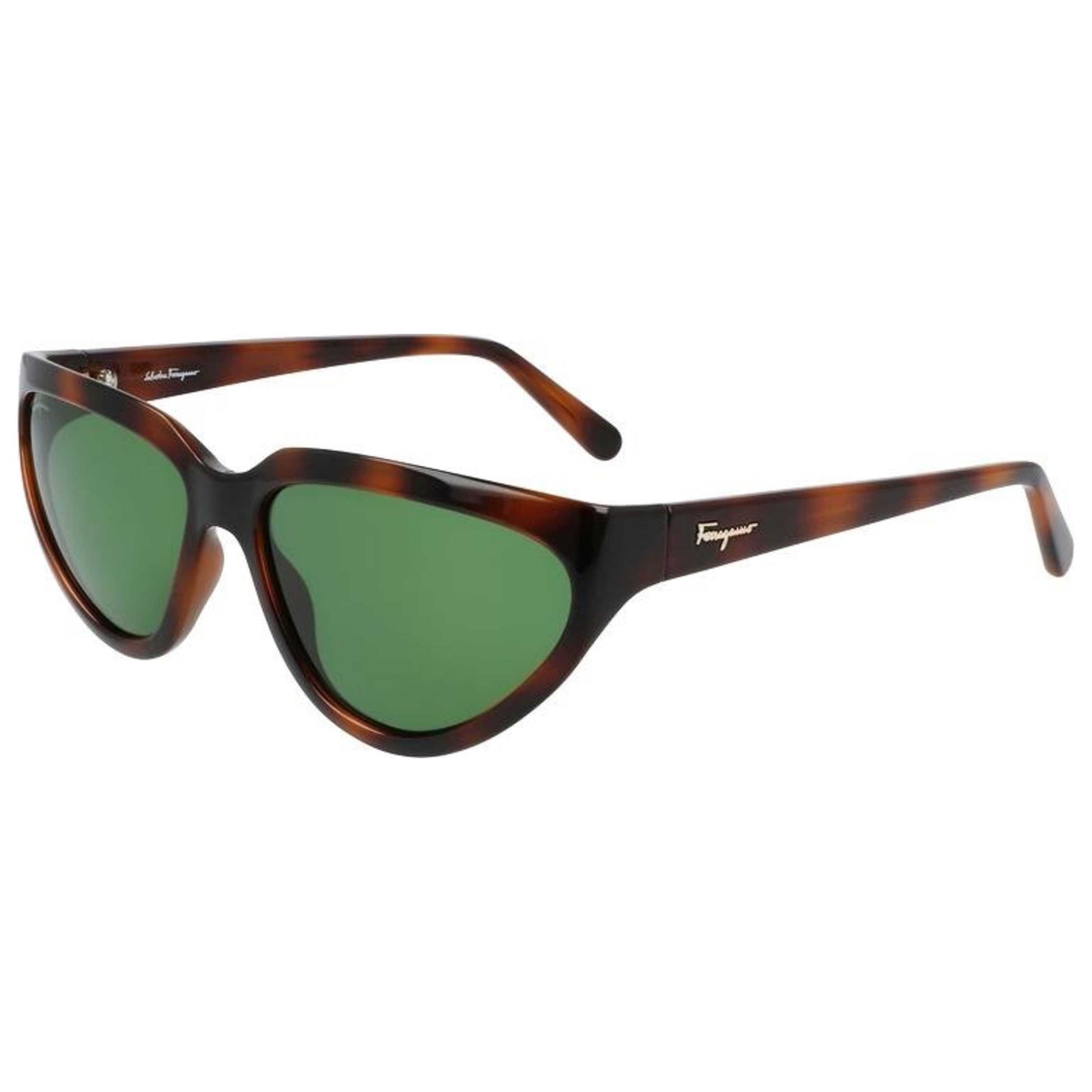 Front view of Ferragamo Fashion Women's Sunglasses FR-SF1017S21460