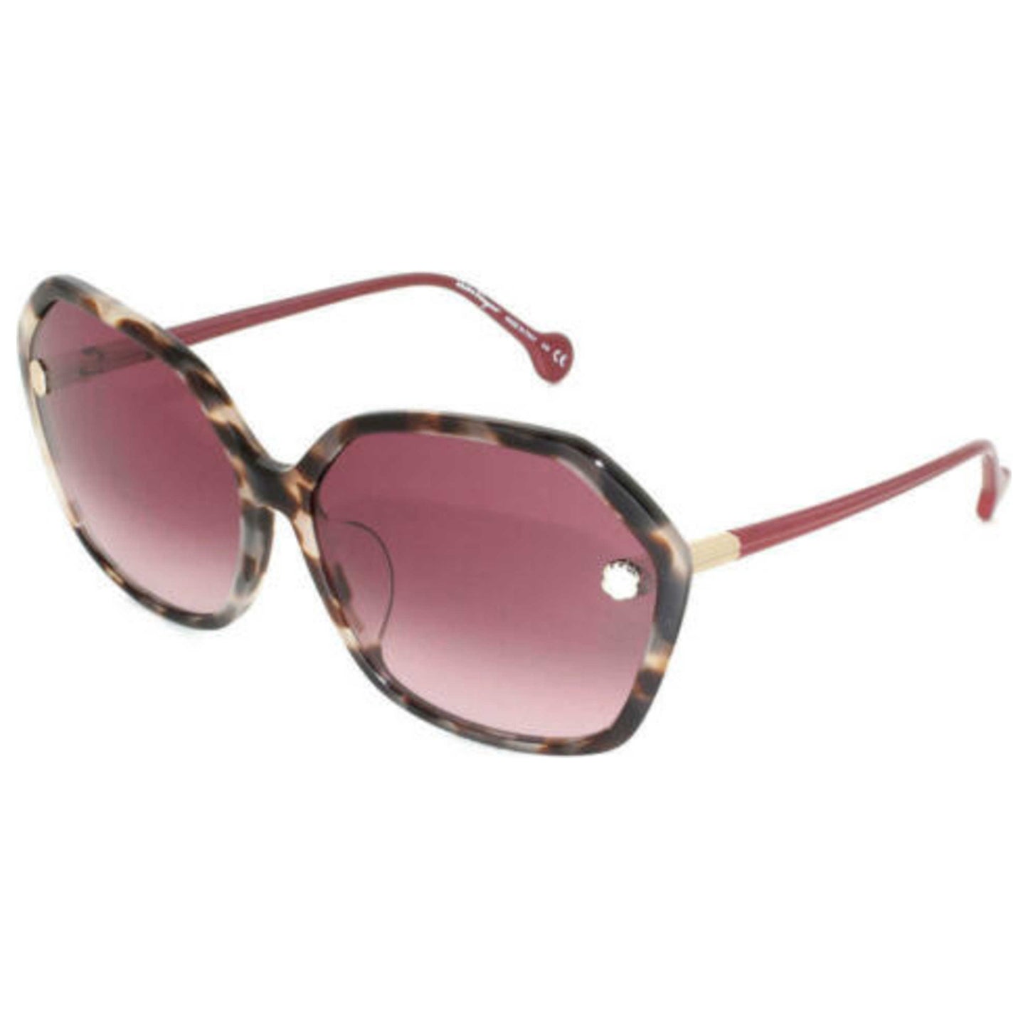 Front view of Ferragamo Fashion Women's Sunglasses FR-SF920SA05365