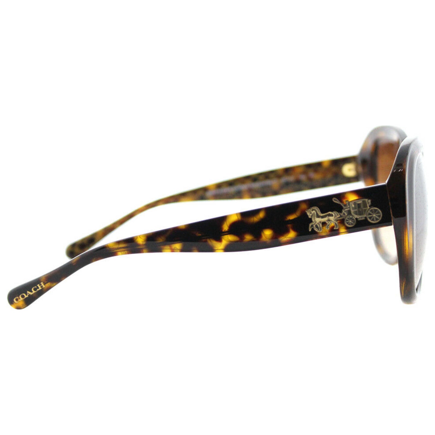 Right view of Coach Fashion Women's Sunglasses HC8207-53941357