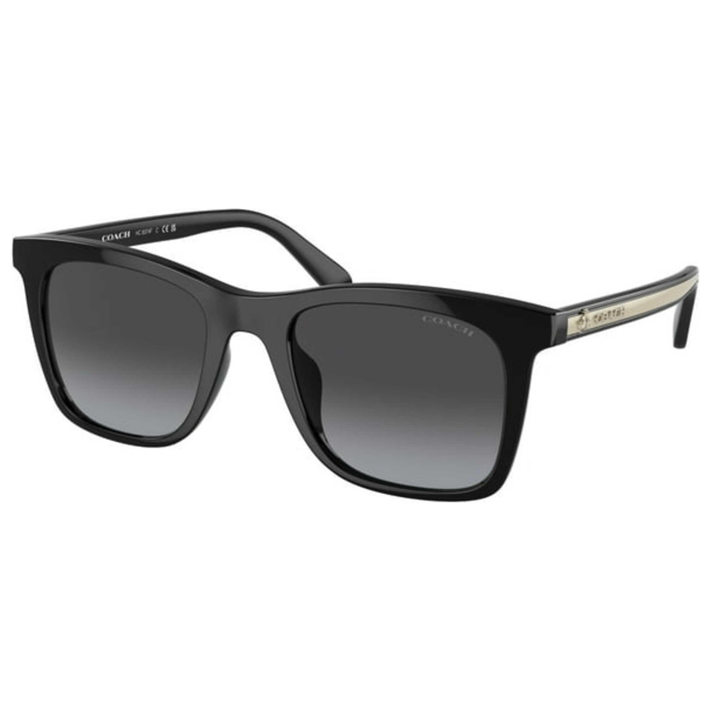 Front view of Coach Fashion Women's Sunglasses HC8374F-50028G-54