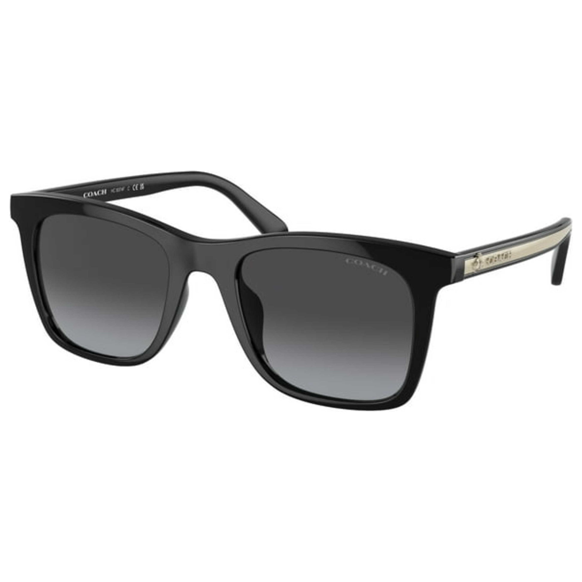 Front view of Coach Fashion Women's Sunglasses HC8374F-50028G-54