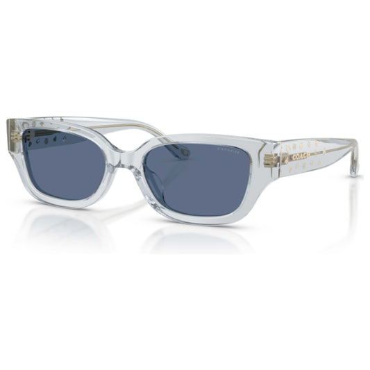 Front view of Coach Women's Sunglasses HC8439U-590480-53