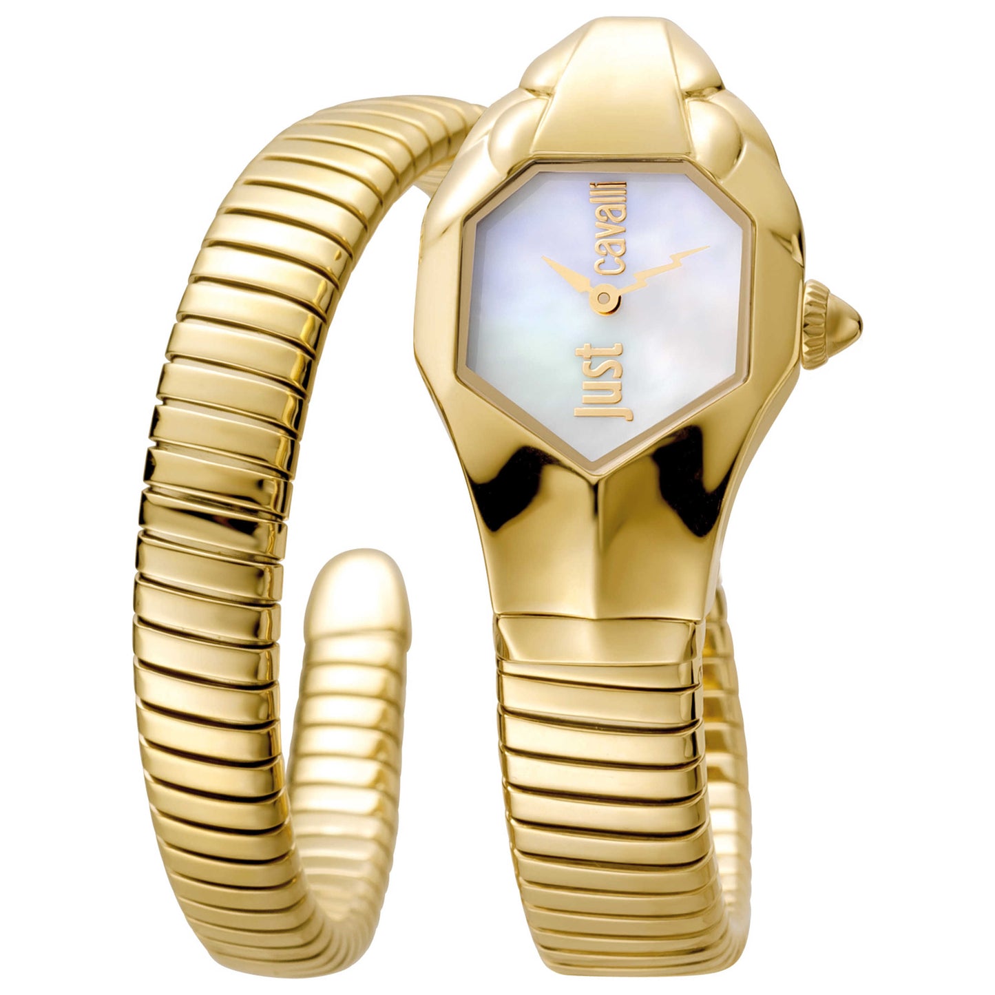 Front view of Just Cavalli Snake Women's Quartz Watch JC1L001M0025