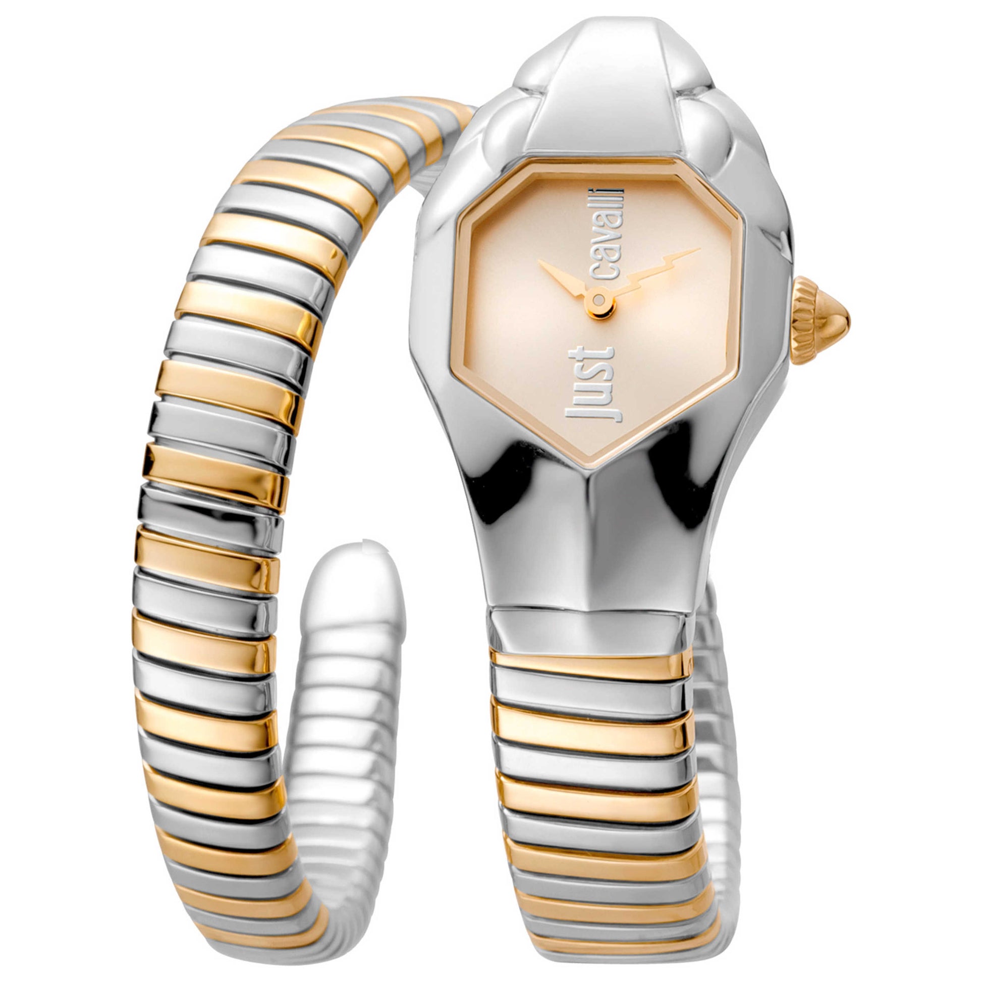 Front view of Just Cavalli Signature Snake Women's Quartz Watch JC1L001M0035