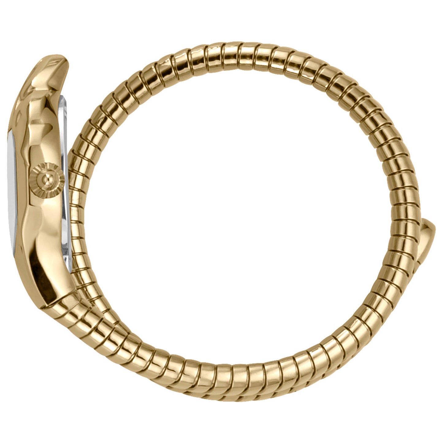 Just Cavalli Snake Women's Quartz Watch JC1L001M0055 - Image #4