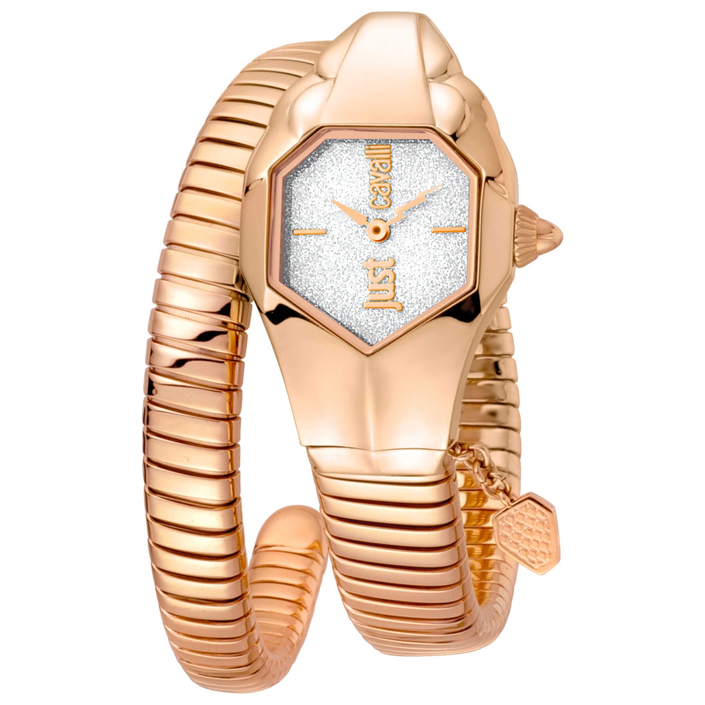Front view of Just Cavalli Signature Snake Women's Quartz Watch JC1L001M0155