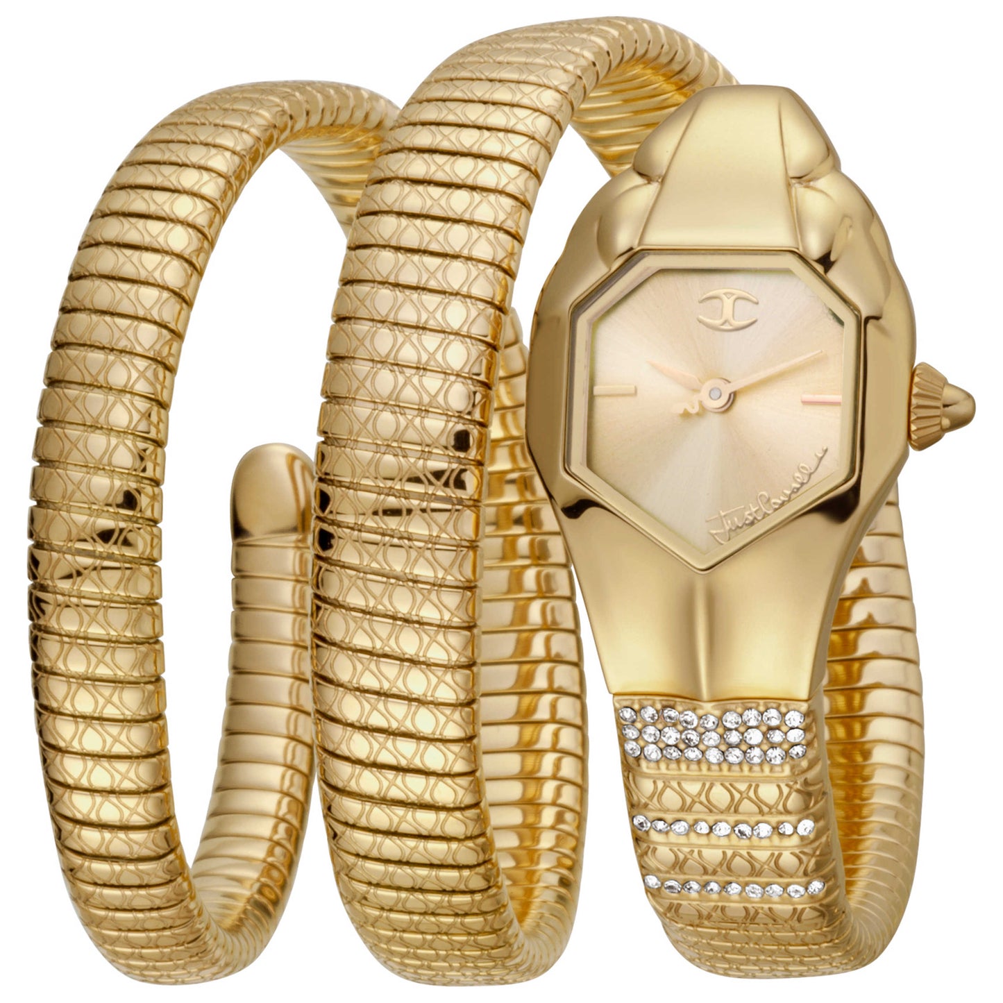 Front view of Just Cavalli Glam Snake Women's Quartz Watch JC1L112M0025