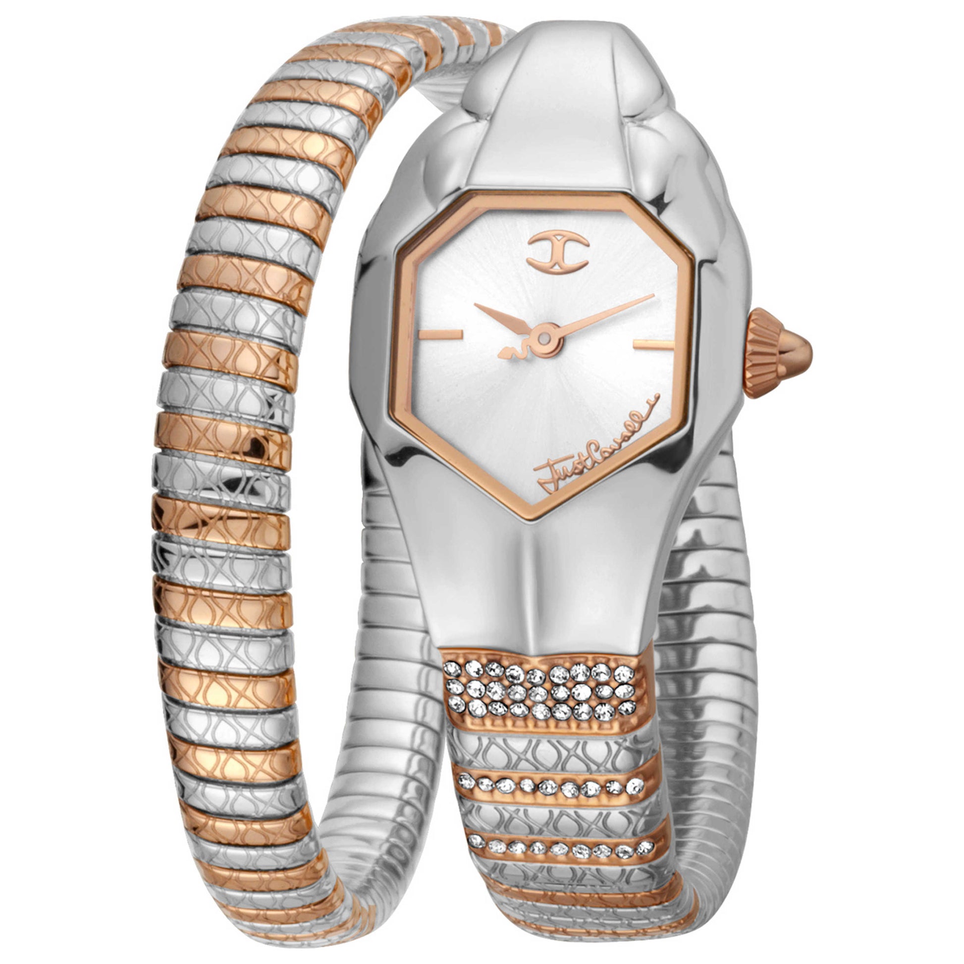 Front view of Just Cavalli Signature Snake Women's Quartz Watch JC1L113M0055