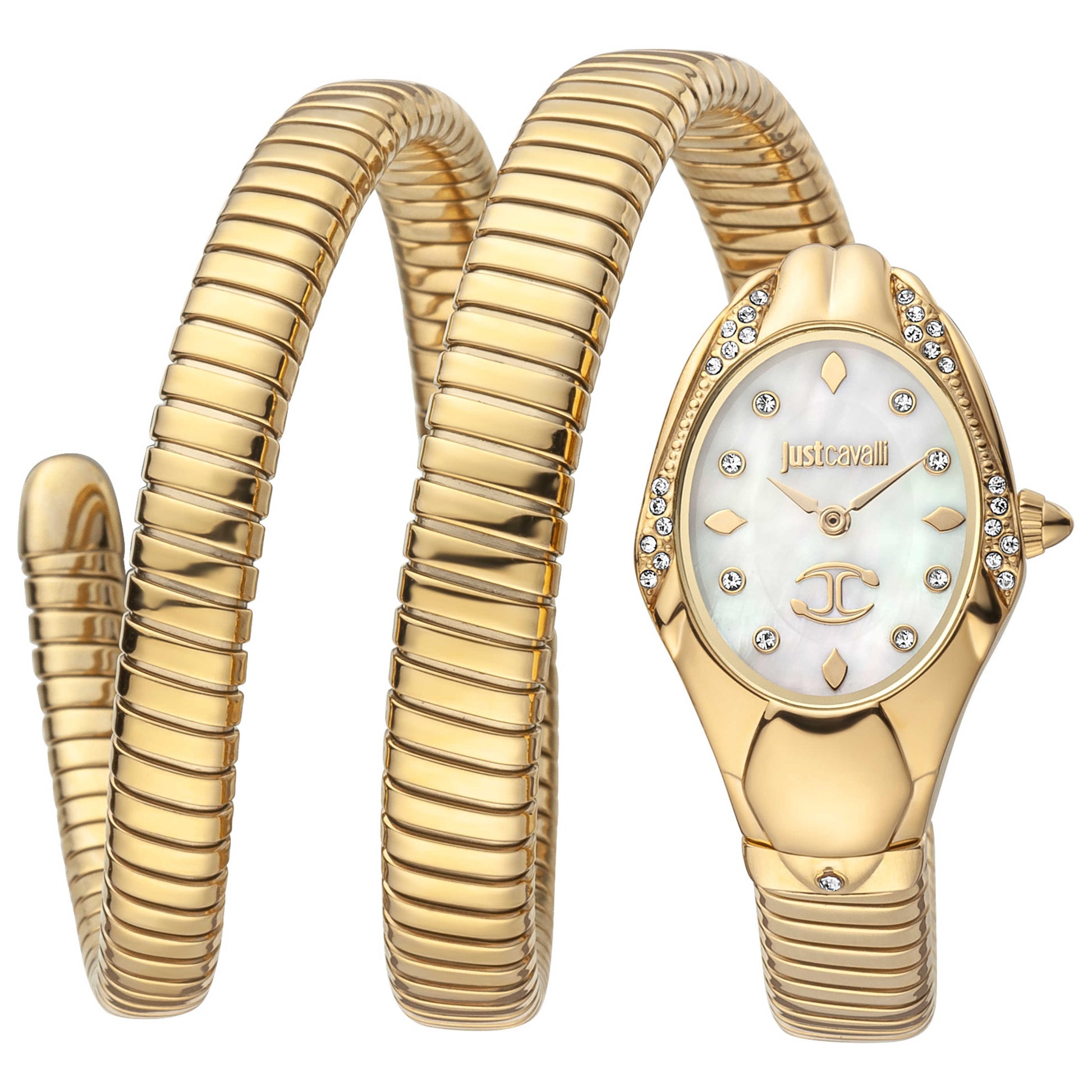 Front view of Just Cavalli Women's Quartz Watch JC1L185M0015