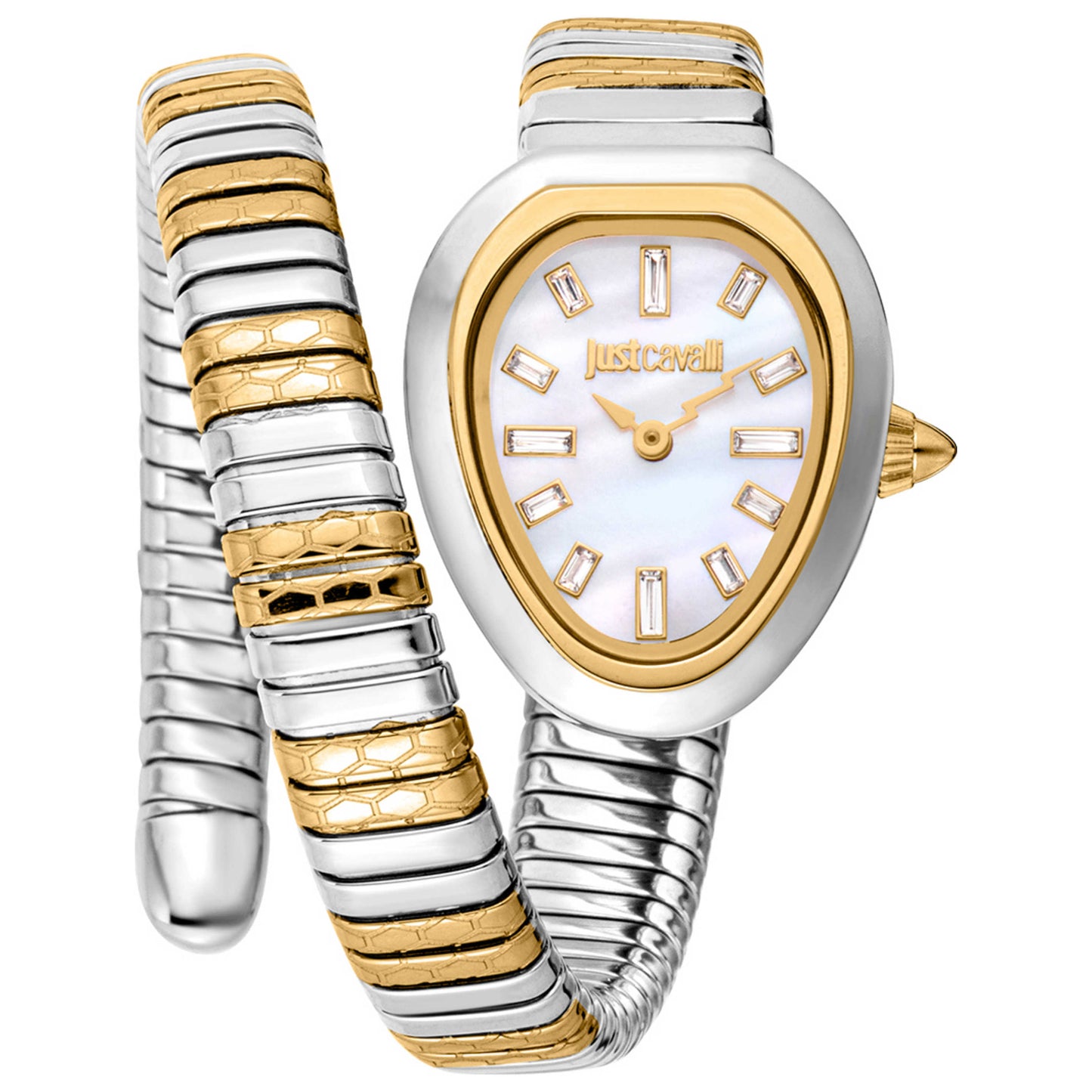 Front view of Just Cavalli Signature Snake Women's Quartz Watch JC1L222M0055