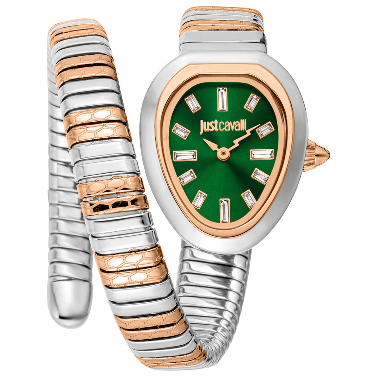 Front view of Just Cavalli Signature Snake Women's Quartz Watch JC1L222M0075