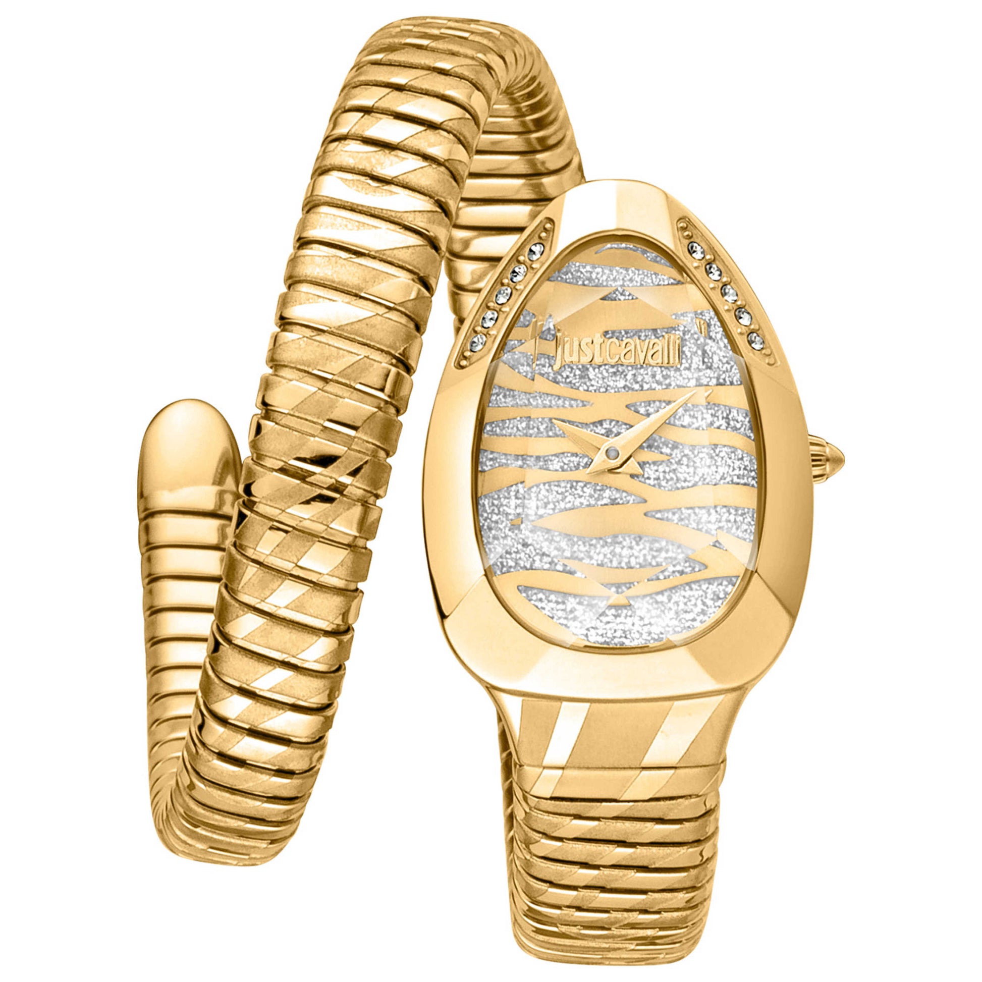Front view of Just Cavalli Signature Snake Women's Quartz Watch JC1L225M0035