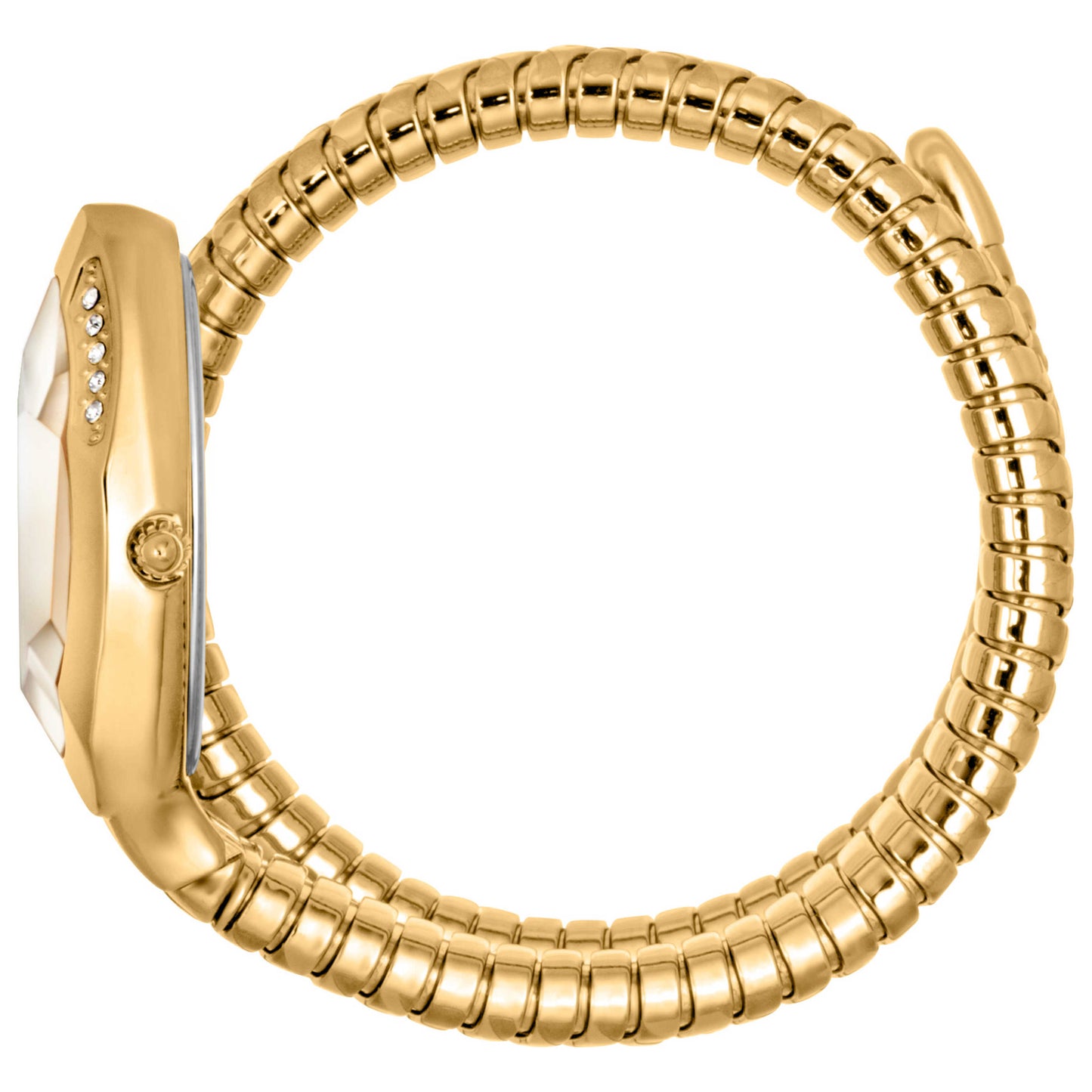Just Cavalli Signature Snake Women's Quartz Watch JC1L225M0035 - Image #4