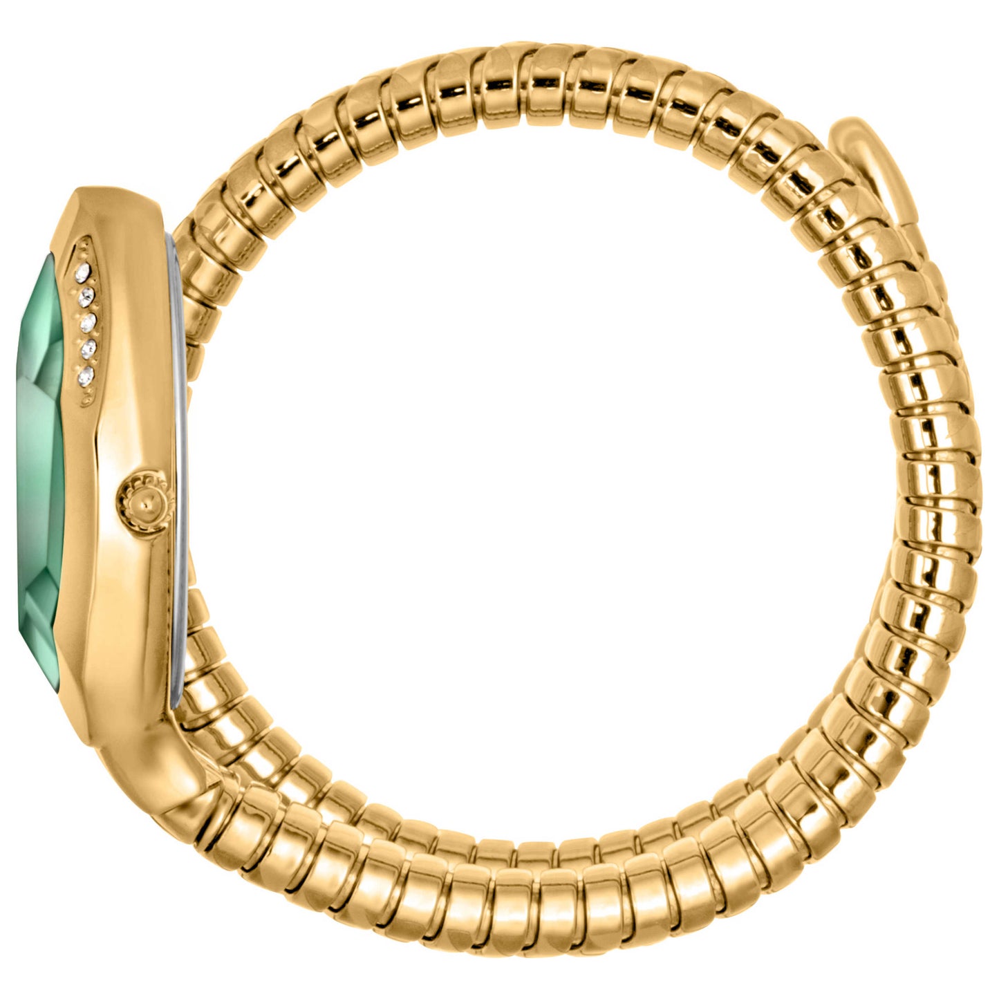 Just Cavalli Signature Snake Glam Evo 8 Solo Women's Quartz Watch JC1L225M0045 - Image #4