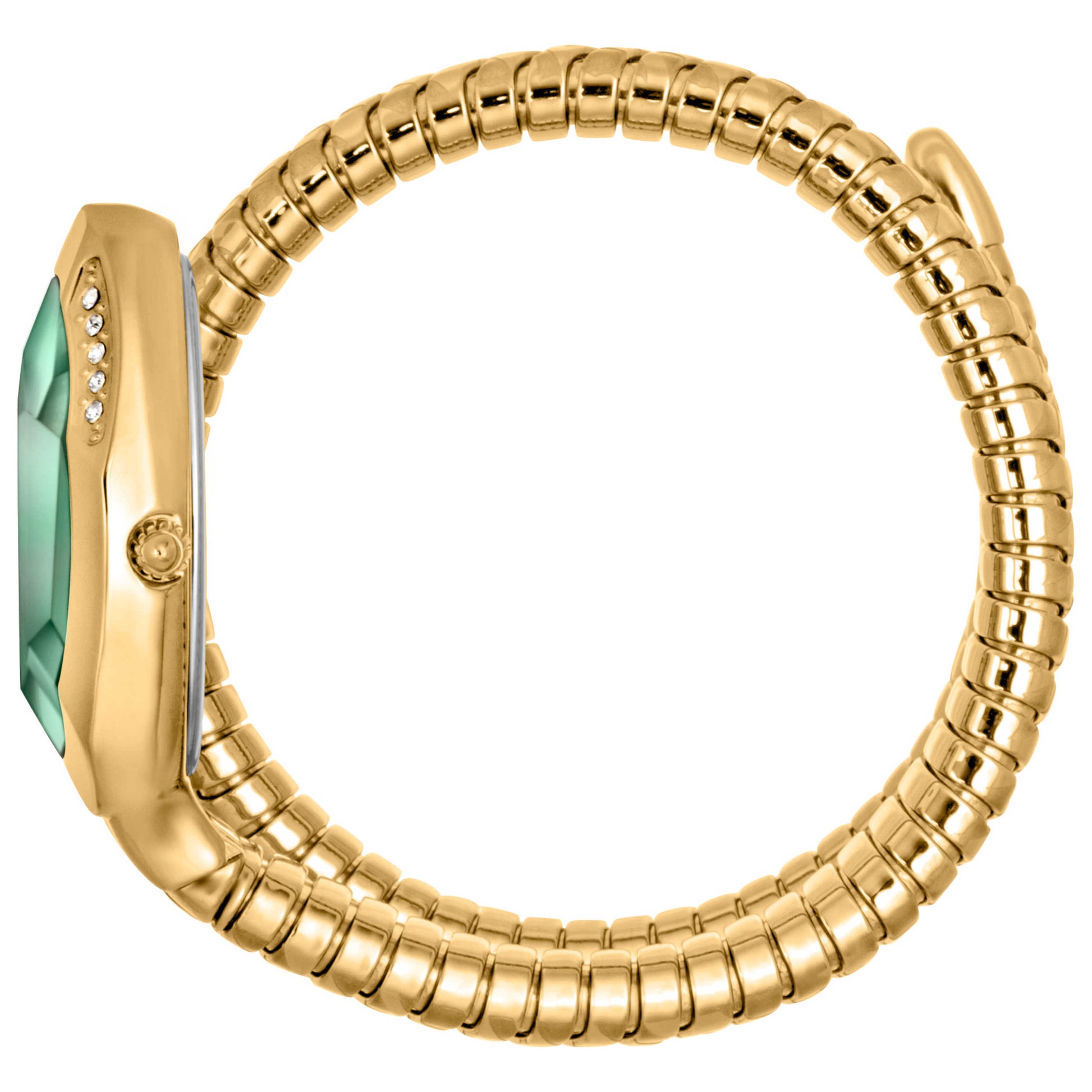 Just Cavalli Signature Snake Glam Evo 8 Solo Women's Quartz Watch JC1L225M0045 - Image #4