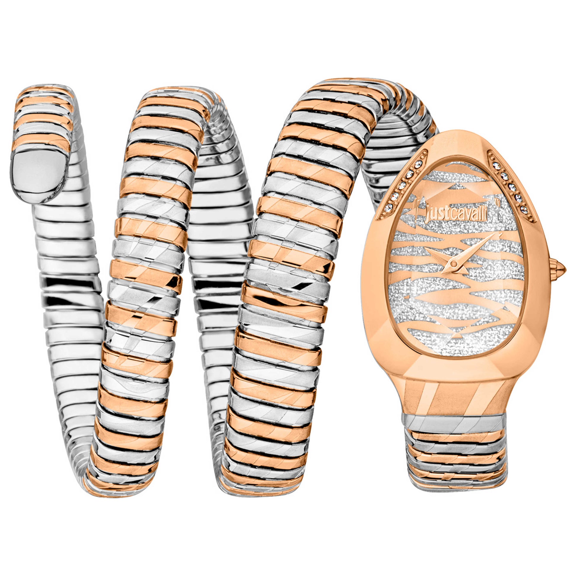 Front view of Just Cavalli Signature Snake Women's Quartz Watch JC1L226M0065