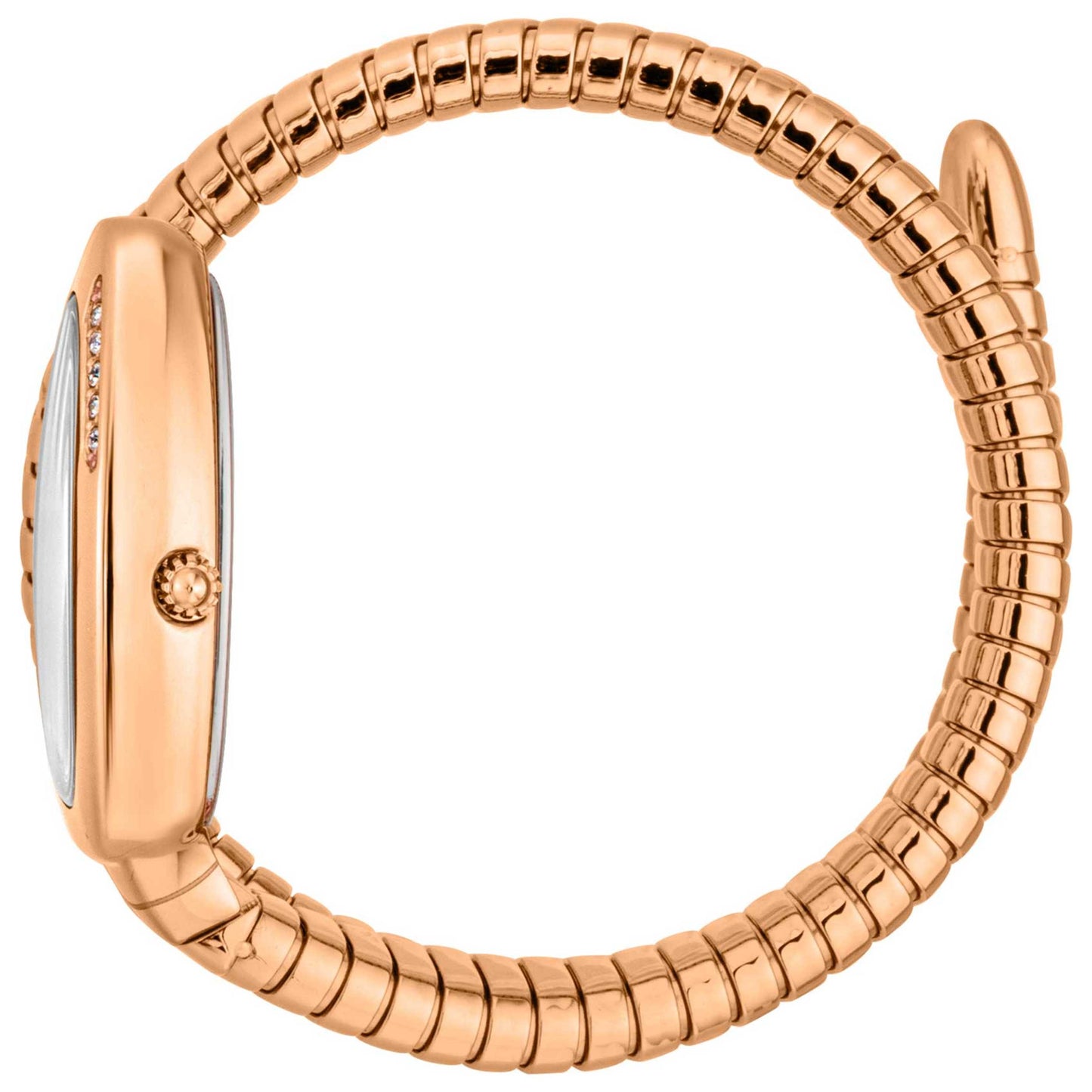 Just Cavalli Signature Snake Serpente Logo Women's Quartz Watch JC1L227M0055 - Image #4