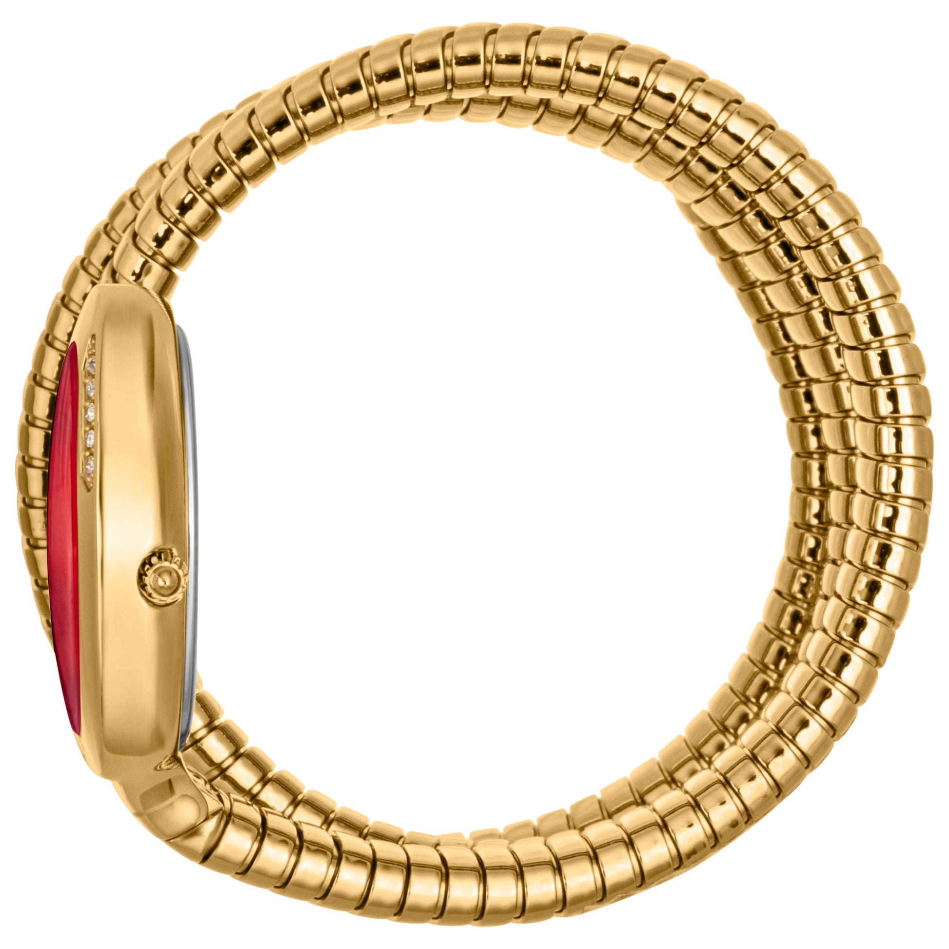 Just Cavalli Signature Snake Glam Evo 5 Doppio Women's Quartz Watch JC1L228M0045 - Image #4