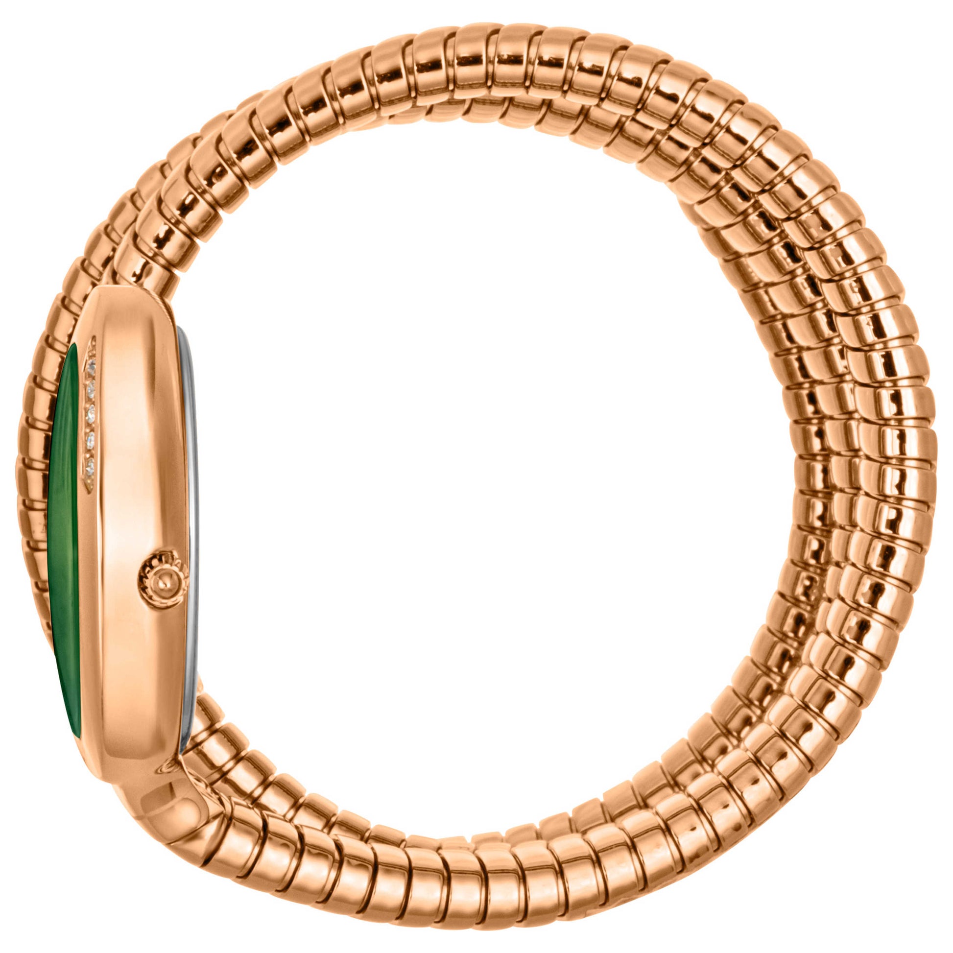 Just Cavalli Signature Snake Women's Quartz Watch JC1L228M0055 - Image #4