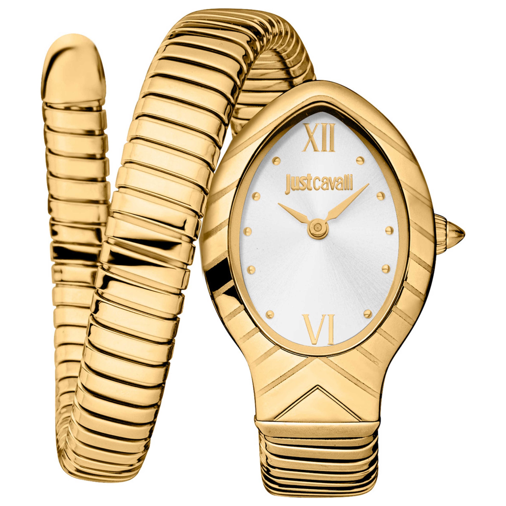 Front view of Just Cavalli Signature Snake Classico corto Women's Quartz Watch JC1L247M0025