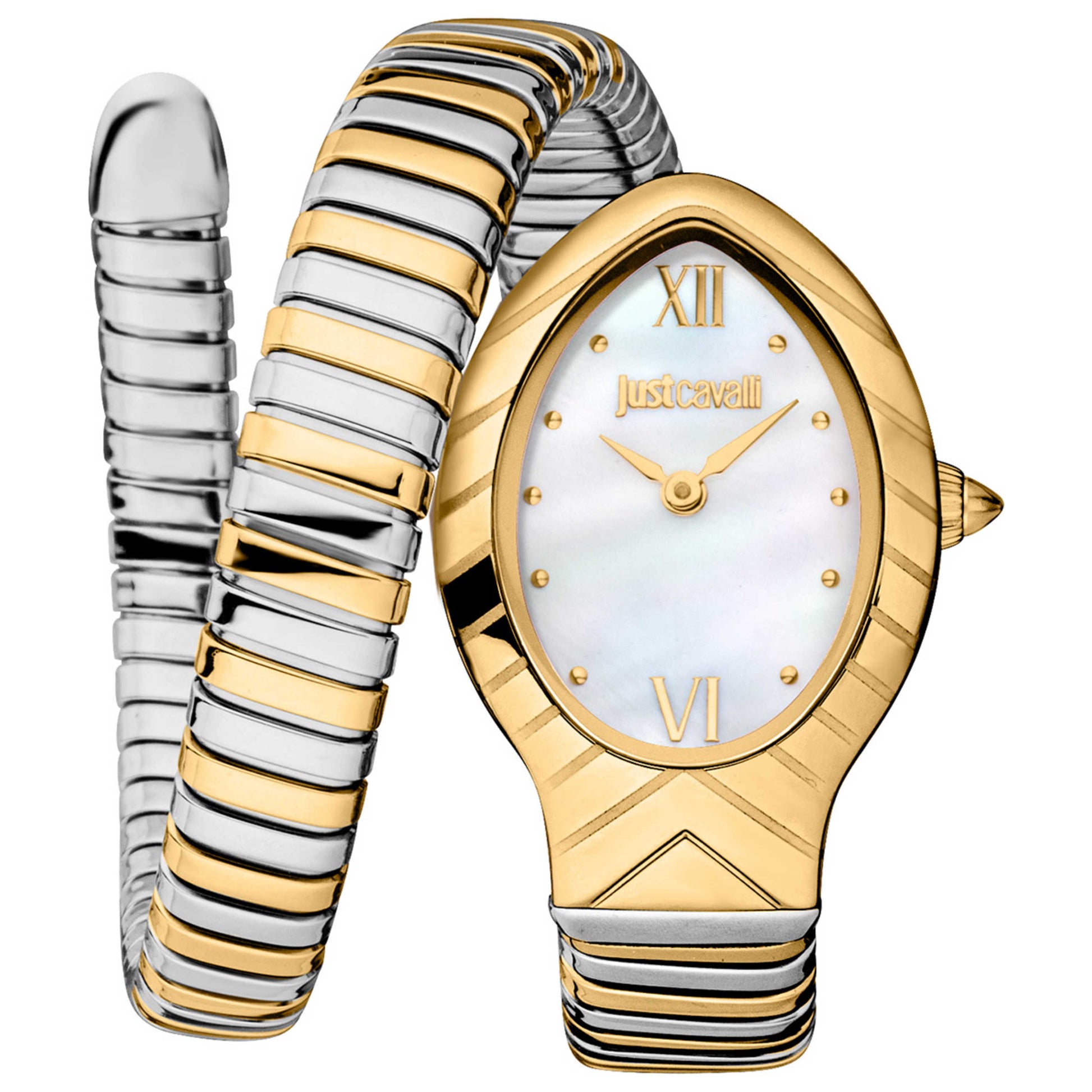 Front view of Just Cavalli Signature Snake Classico Corto Women's Quartz Watch JC1L247M0055
