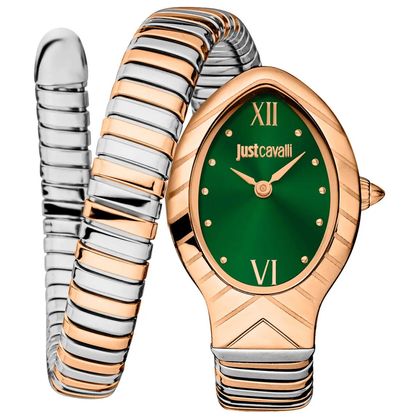 Front view of Just Cavalli Classic Corto Women's Quartz Watch JC1L247M0075