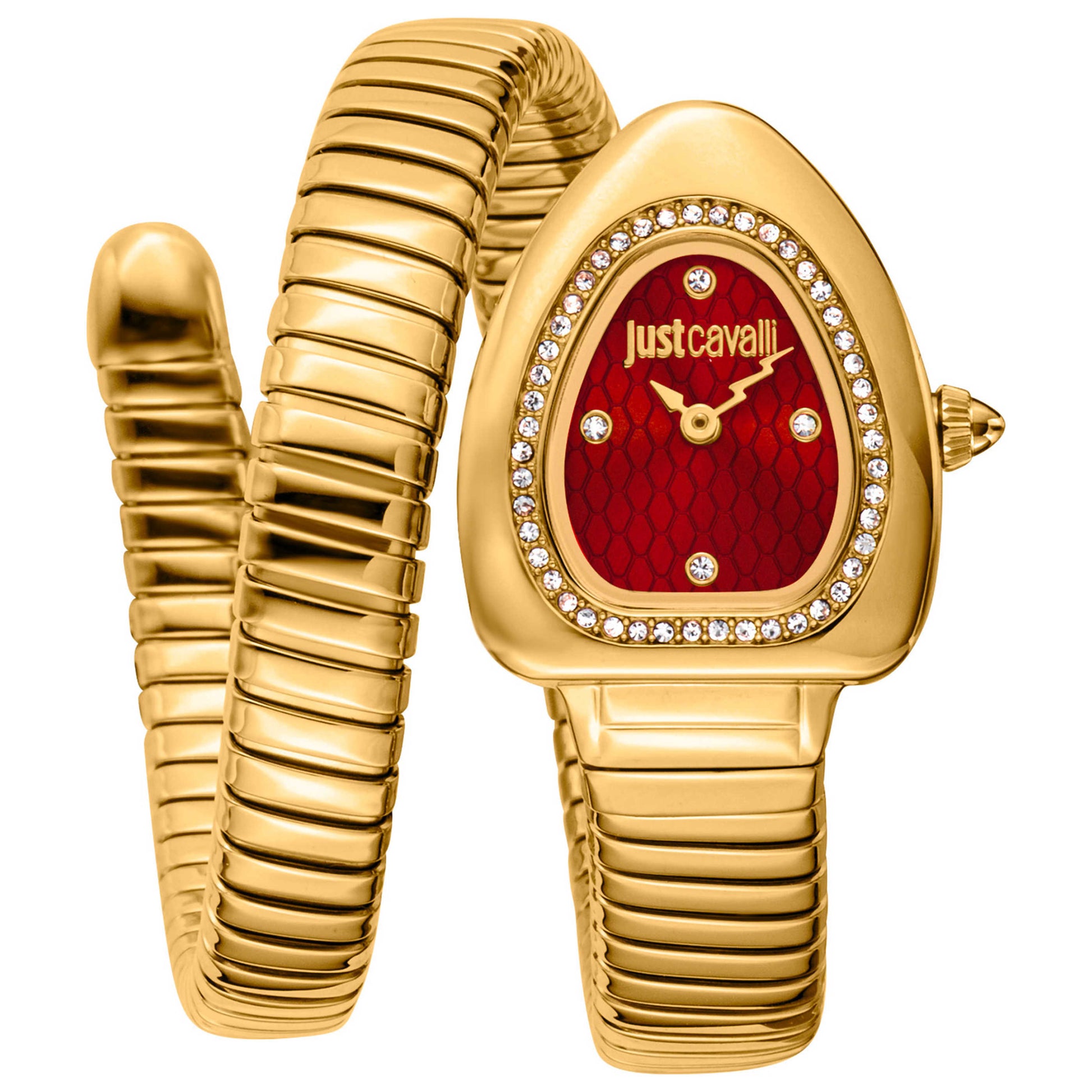 Front view of Just Cavalli Signature Snake Women's Quartz Watch JC1L249M0025